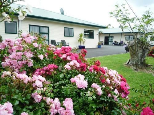 科罗曼德科特汽车旅馆 Coromandel 外观 照片